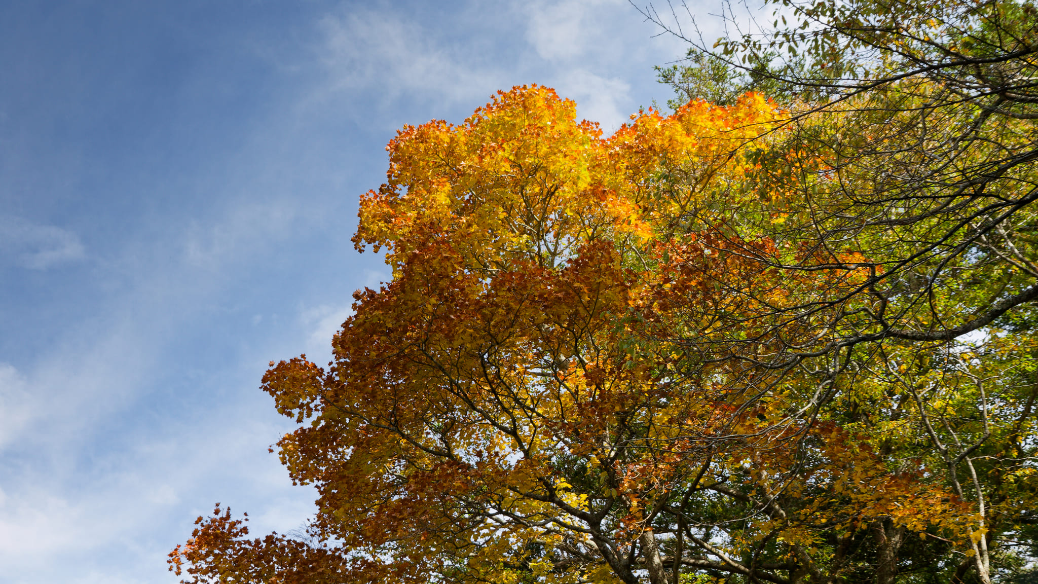 05-Alpes Japonaises (10).jpg